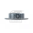 FEBI BILSTEIN 108561 - Jeu de 2 disques de frein arrière