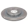 FEBI BILSTEIN 108563 - Jeu de 2 disques de frein arrière