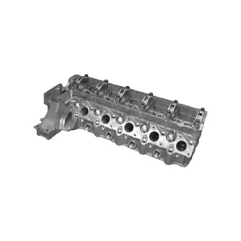 Culasse de cylindre KOLBENSCHMIDT 50003037