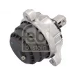FEBI BILSTEIN 45589 - Support moteur