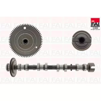 Arbre à came FAI AutoParts C530 pour MAZDA 6 2.2 D - 184cv