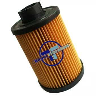 Filtre à carburant DÜRER OEM FG2010