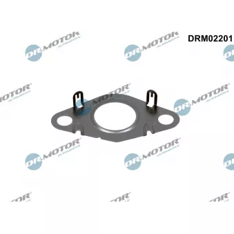 Dr.Motor DRM02201 - Joint, flexible vanne EGR