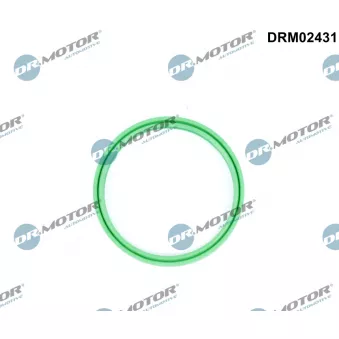 Dr.Motor DRM02431 - Bague d'étanchéité, gaine de suralimentation