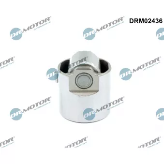 Dr.Motor DRM02436 - Pilon, Pompe à haute pression