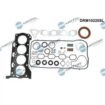Dr.Motor DRM10220SL - Pochette moteur complète