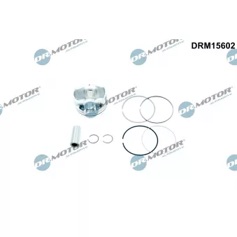 Piston Dr.Motor DRM15602