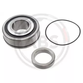 Roulement de roue arrière A.B.S. 201029