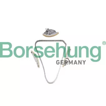Kit de distribution par chaîne Borsehung B10242