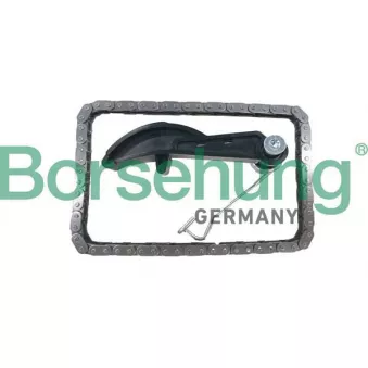 Kit de distribution par chaîne Borsehung B10251