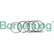 Jeu de segments de pistons Borsehung [B10369]