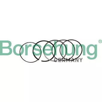 Borsehung B10369 - Jeu de segments de pistons