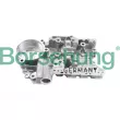 Kit de réparation, mécatronique (boîte automatique) Borsehung [B10925]