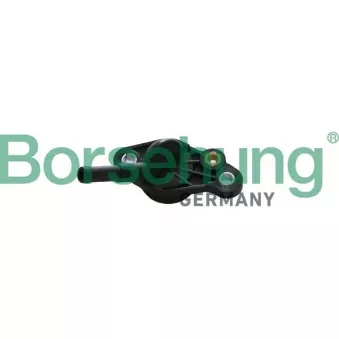 Moyeu, pompe à eau Borsehung OEM 06K121132