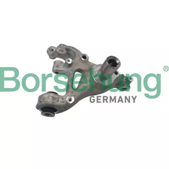Borsehung B12117 - Fusée d'essieu, suspension de roue arrière gauche