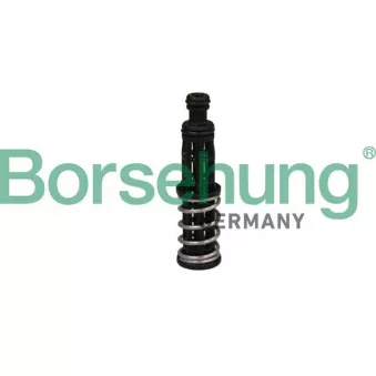 Valve de pression d'huile Borsehung B12309