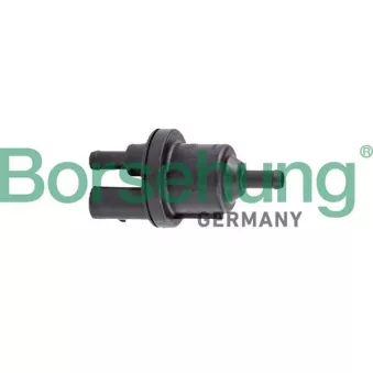 Borsehung B12317 - Soupape, filtre à charbon actif