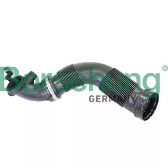 Tuyau d'aspiration, alimentation d'air Borsehung OEM 5QF129654AA