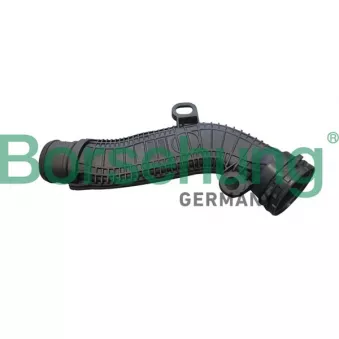 Borsehung B12348 - Tuyau, ventilation de carter-moteur