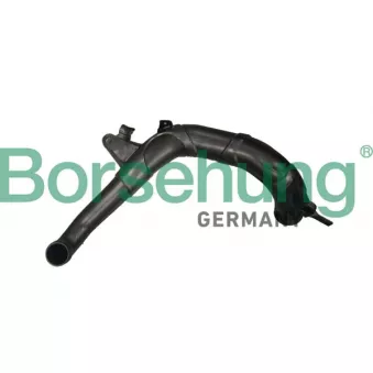 Gaine de suralimentation Borsehung B12350 pour AUDI A3 S3 quattro - 300cv