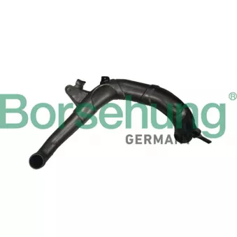 Gaine de suralimentation Borsehung B12350 pour VOLKSWAGEN PASSAT 2.0 TSI 4motion - 280cv