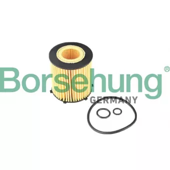 Filtre à huile Borsehung B12405