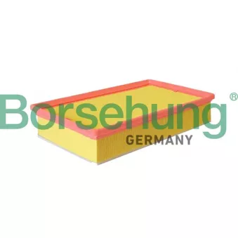 Filtre à air Borsehung OEM 3QF129620
