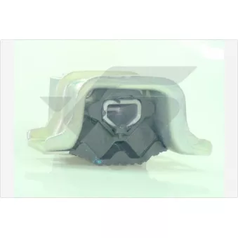 Support moteur HUTCHINSON OEM 1369382080