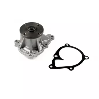 Pompe à eau, refroidissement du moteur HEPU OEM 2510003HB0