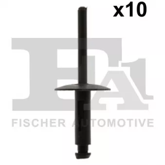 FA1 10-20020.10 - Assortiment, rivets aveugles