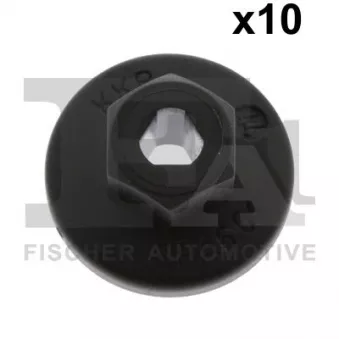 FA1 11-70006.10 - Écrou