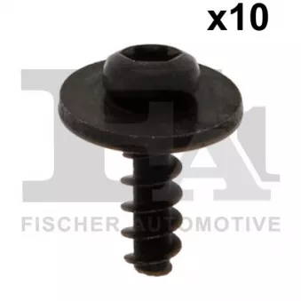 FA1 11-70010.10 - Vis