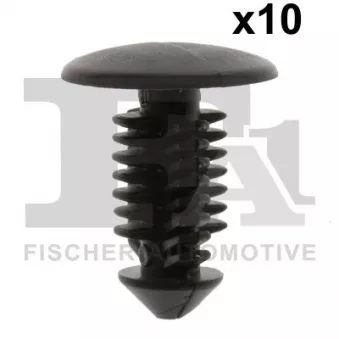 FA1 21-10001.10 - Clip, enjoliveur