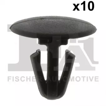 FA1 21-10015.10 - Clip, enjoliveur