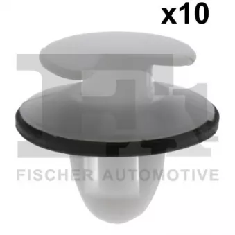 FA1 21-40014.10 - Clip, enjoliveur