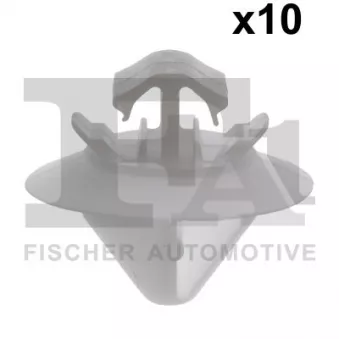 FA1 21-40038.10 - Clip, enjoliveur