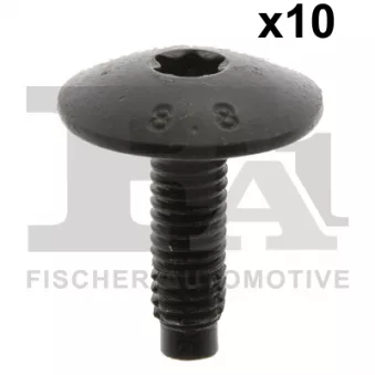 FA1 21-70003.10 - Vis