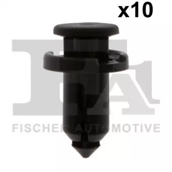 FA1 72-30003.10 - Clip, enjoliveur
