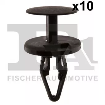 FA1 87-20002.10 - Clip, enjoliveur