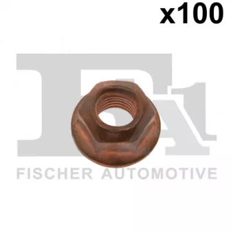 Écrou FA1 OEM 000000003175