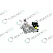 REMANTE 002-002-001391R - Pompe à haute pression