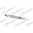 REMANTE 002-003-000039R - Injecteur
