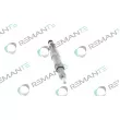 REMANTE 002-003-000039R - Injecteur