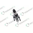 REMANTE 002-003-000077R - Unité pompe-injecteur