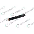 REMANTE 002-003-000109R - Injecteur