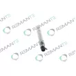 REMANTE 002-003-000124R - Injecteur