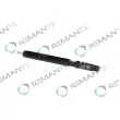 Injecteur REMANTE [002-003-000126R]