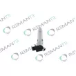 REMANTE 002-003-000133R - Injecteur