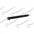 REMANTE 002-003-000134R - Injecteur