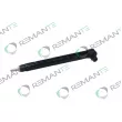REMANTE 002-003-000134R - Injecteur